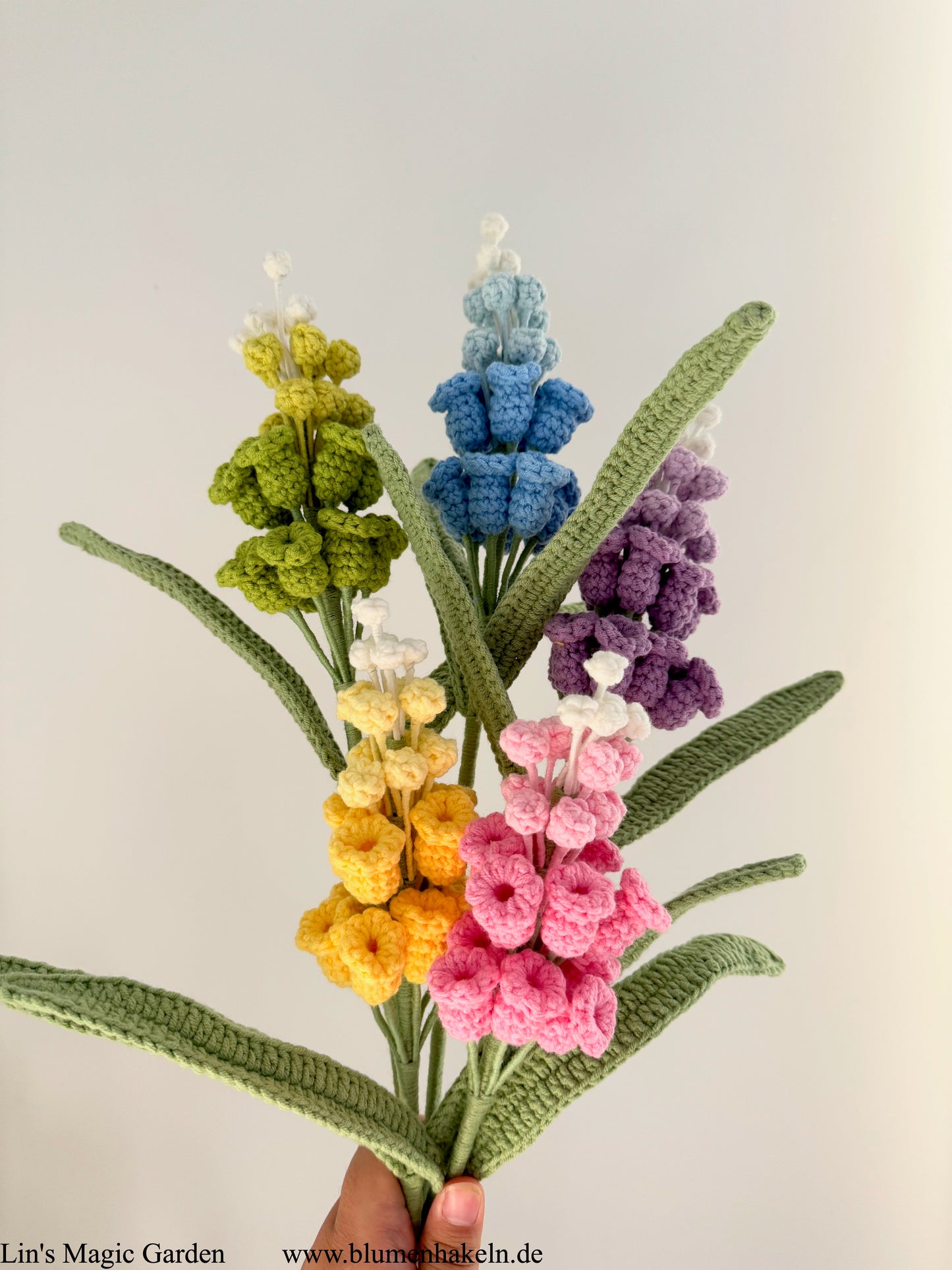 Gartenhyazinthe