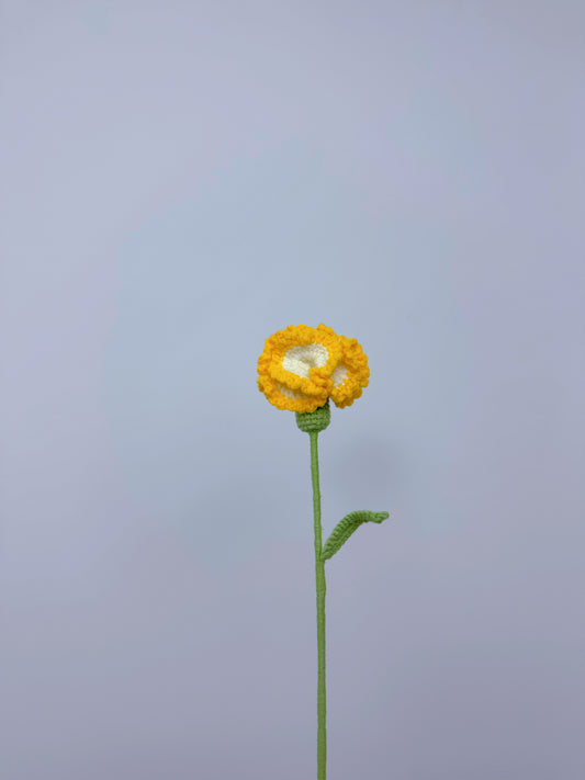 Carnation (Small)