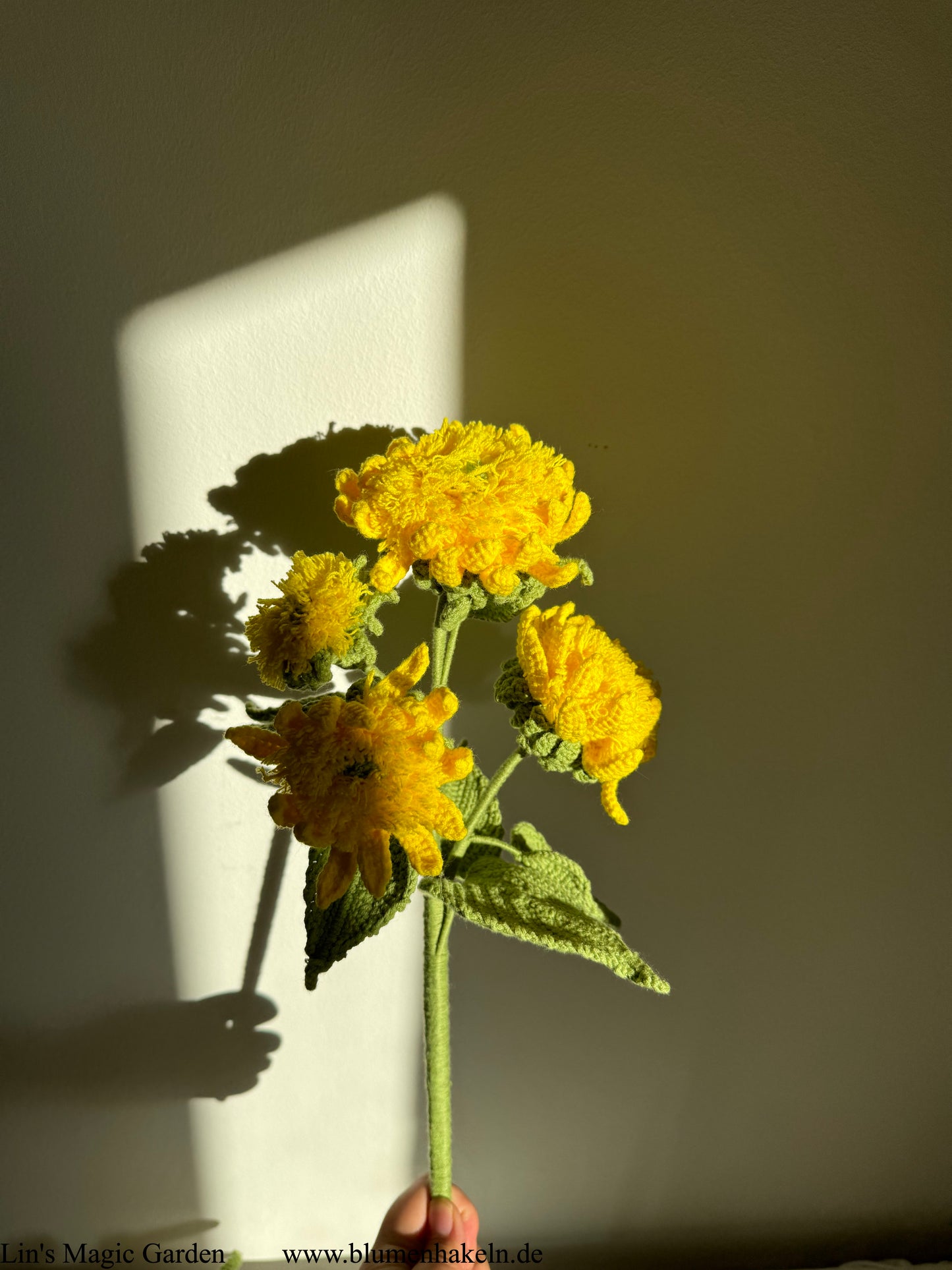 Teddybär Sonnenblume