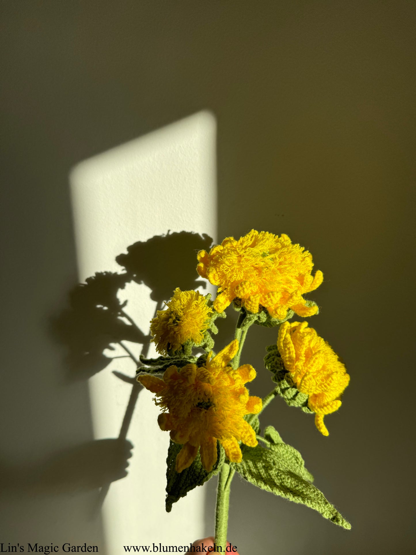 Teddybär Sonnenblume