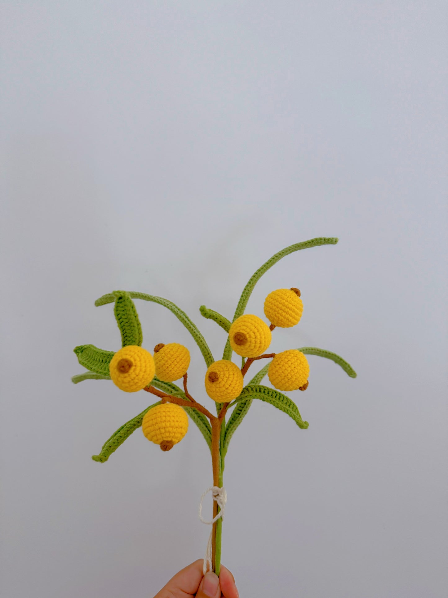 Bouquet "Fruit" Nov.18th No.5