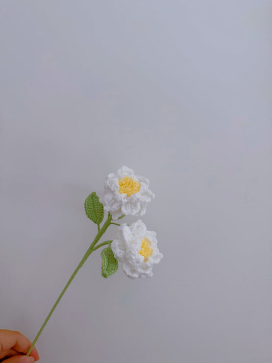Gardenia