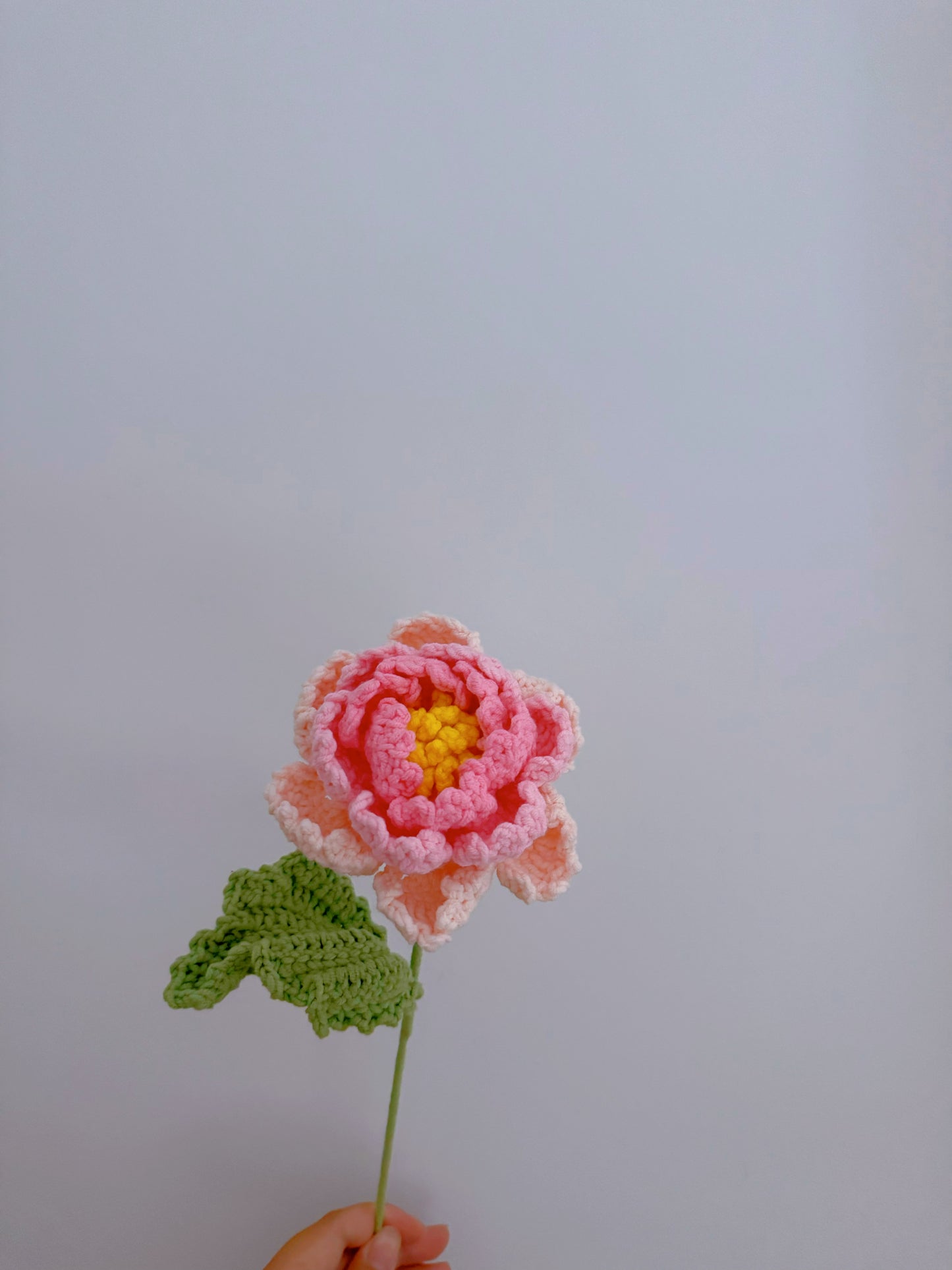 Peony