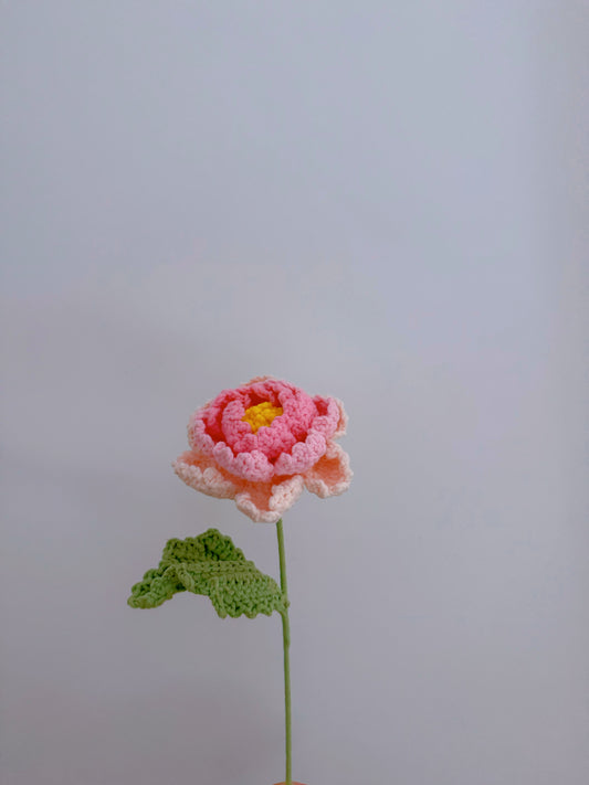 Peony