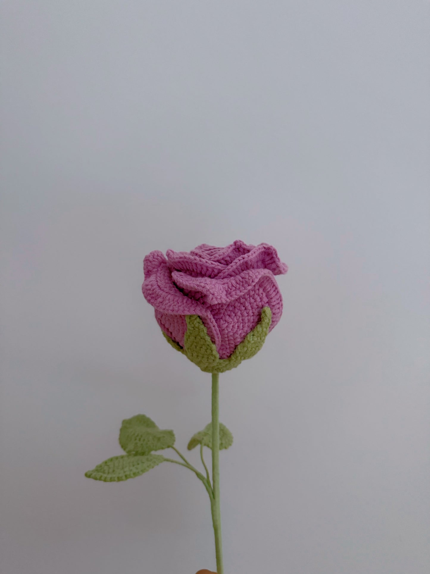 Rose (Large)