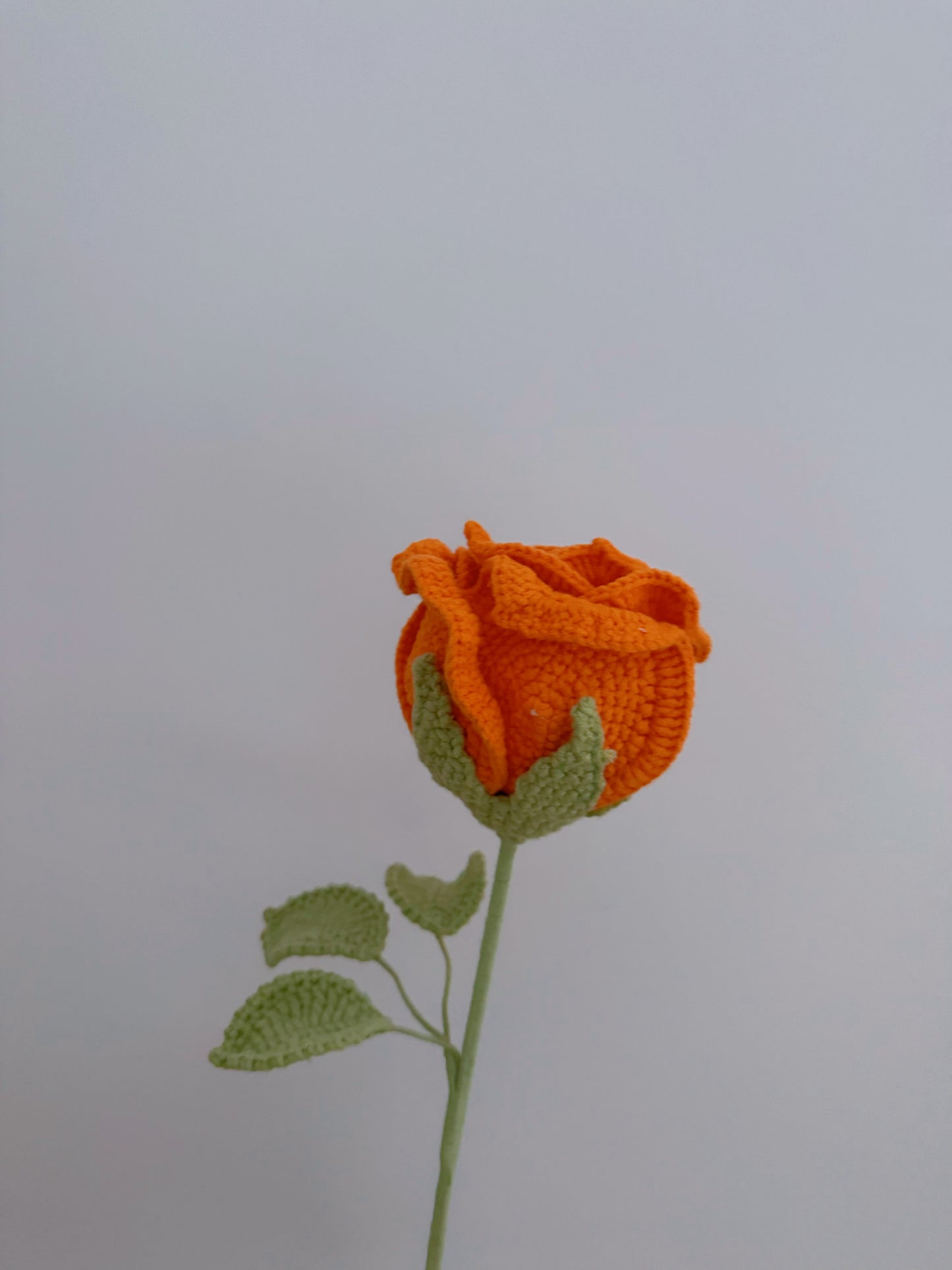 Rose (Large)
