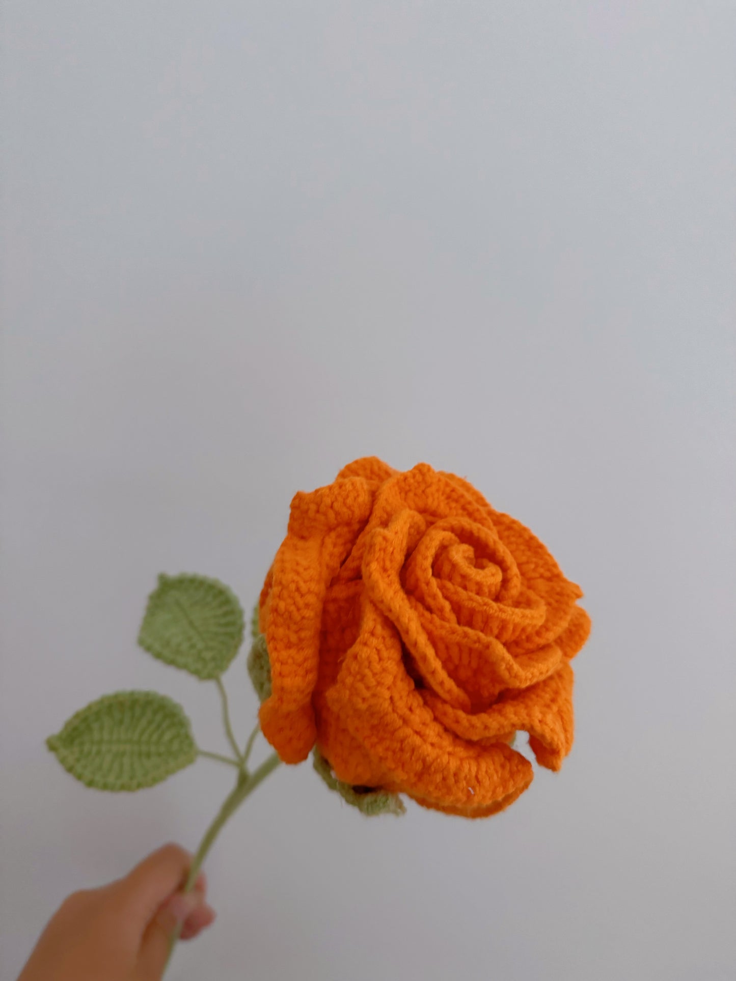 Rose (Large)