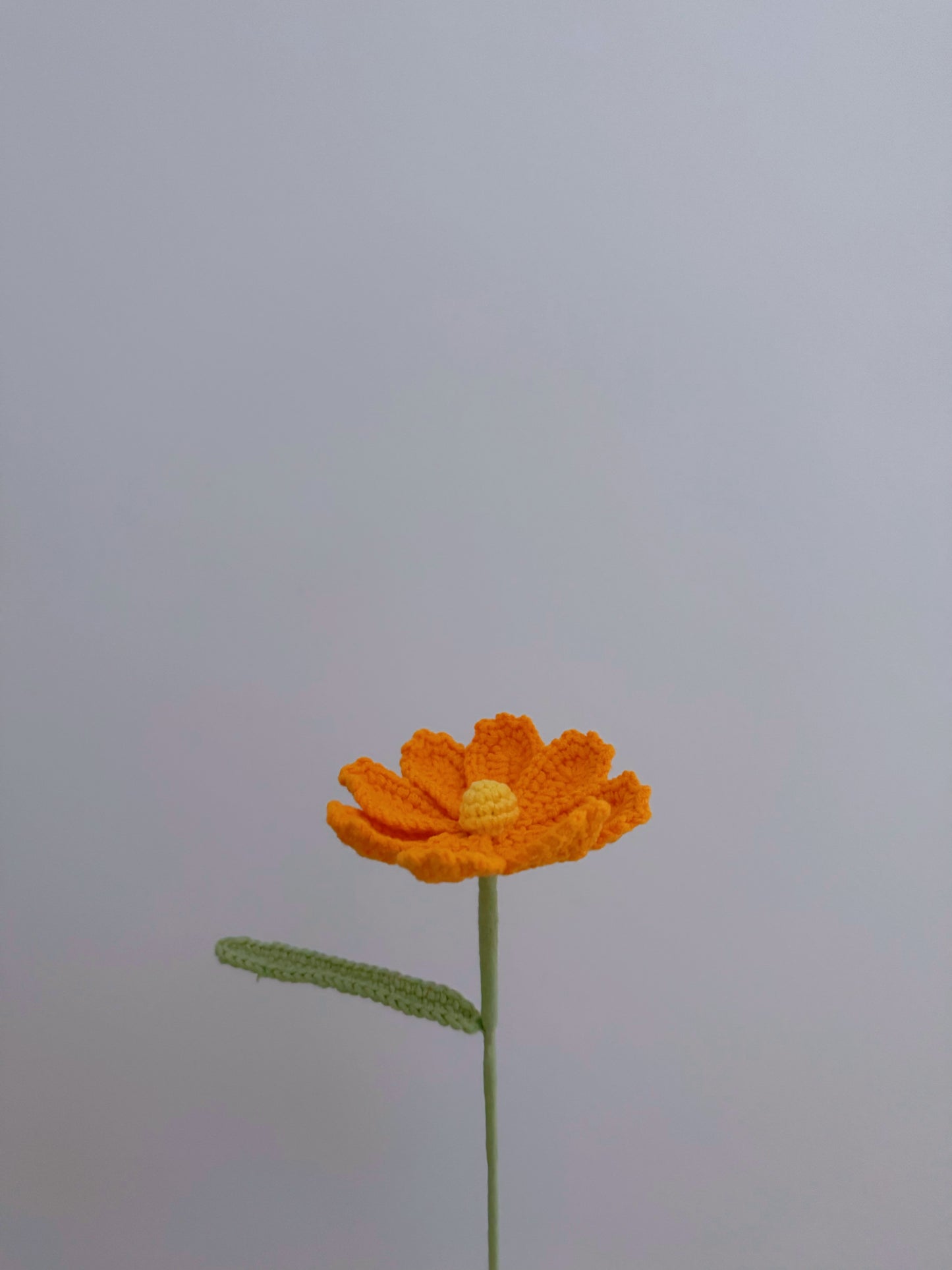 Gesang Flower