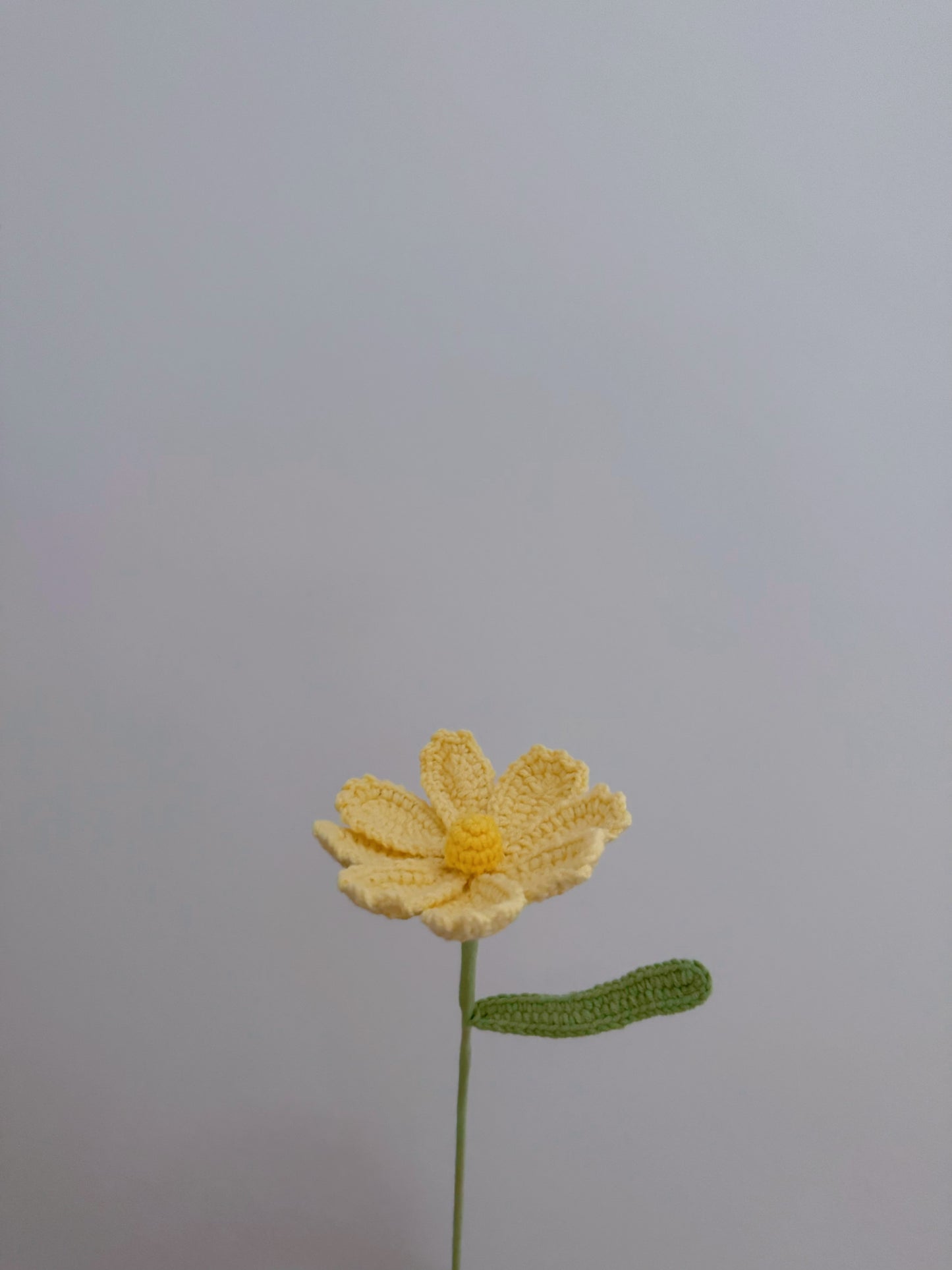 Gesang Flower