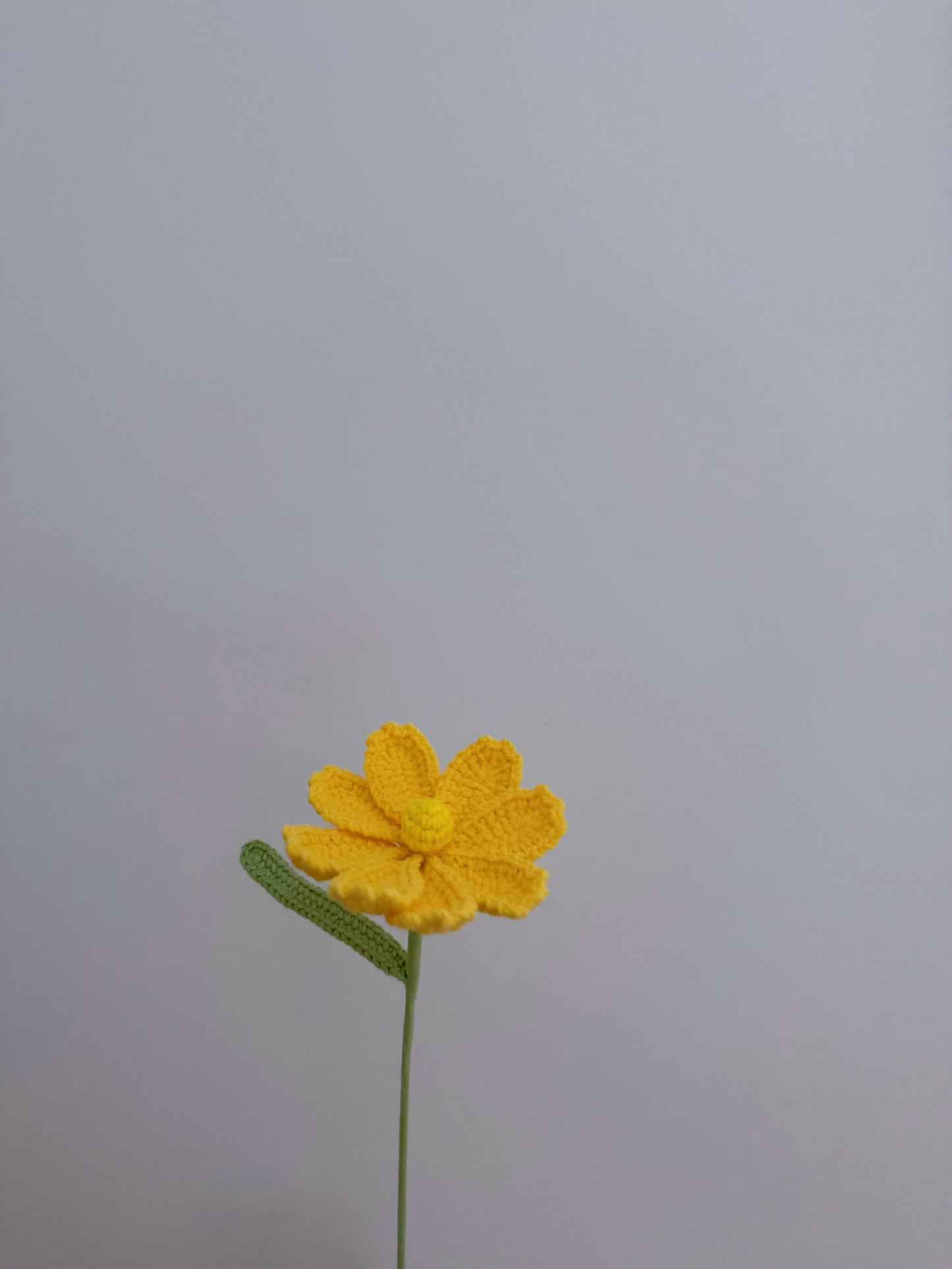 Gesang Flower