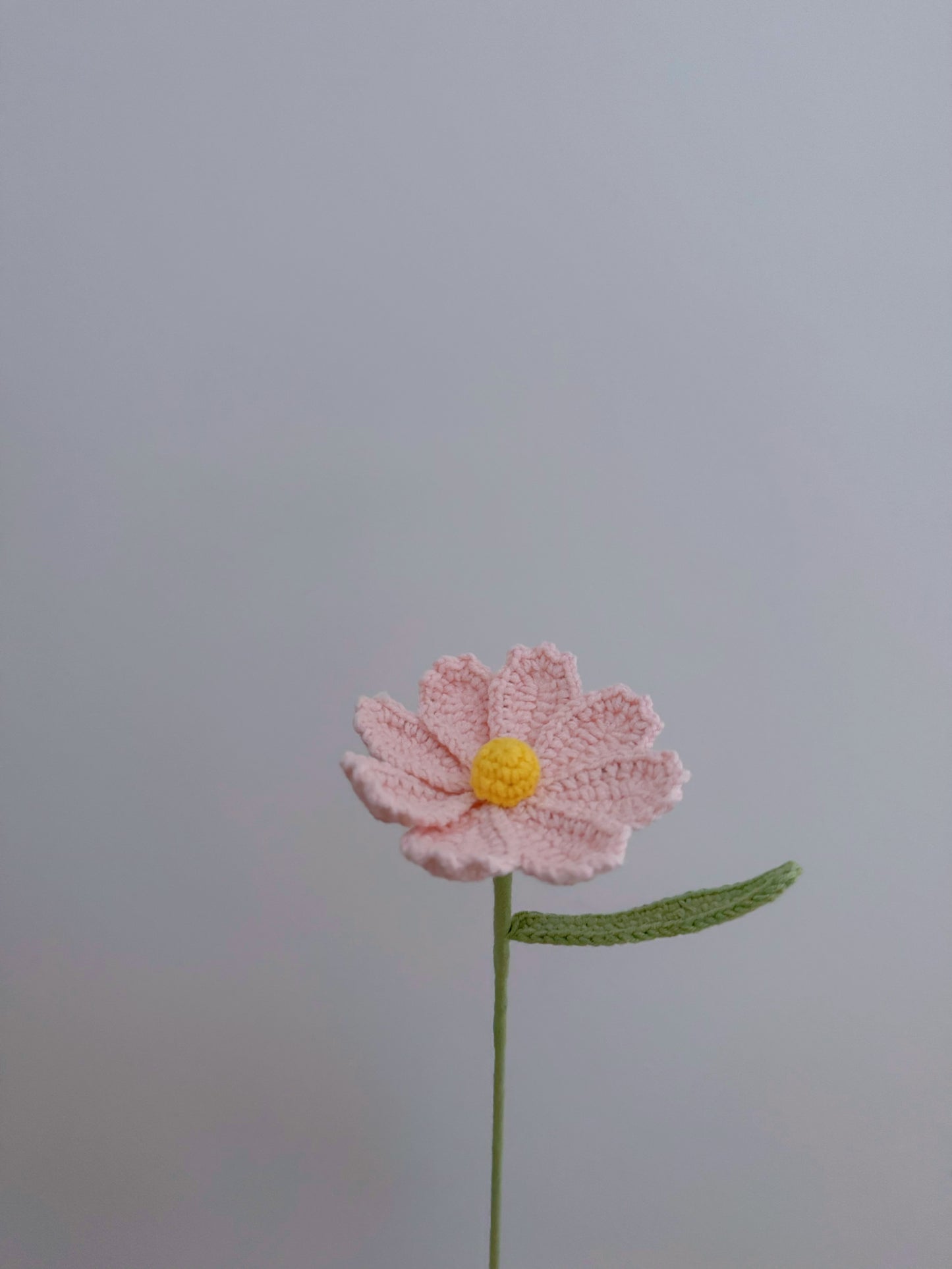 Gesang Flower