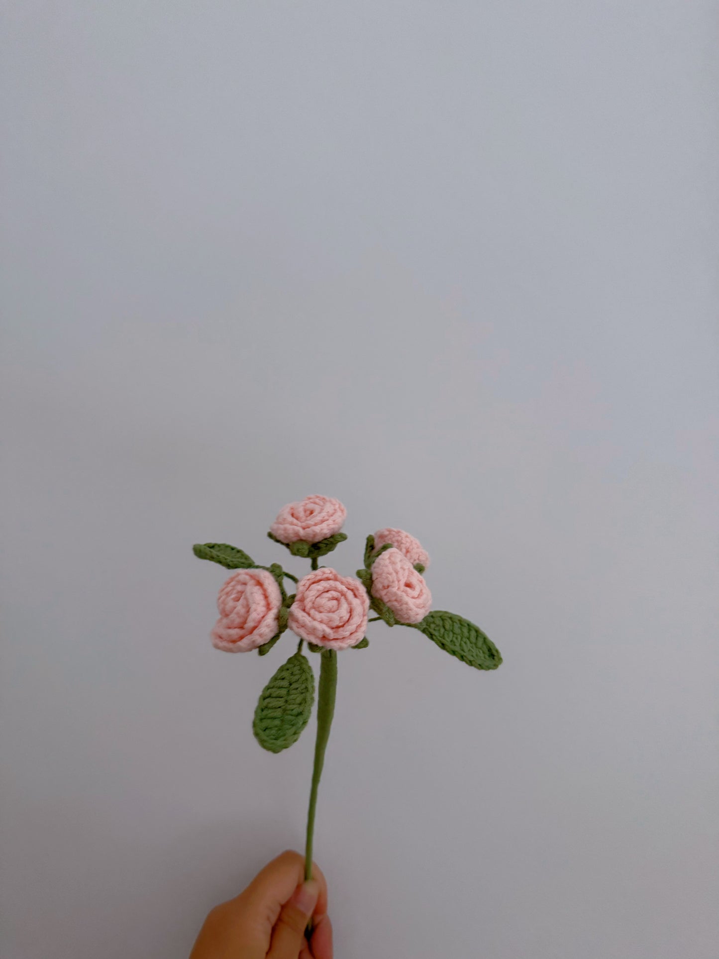 Multihead Rose