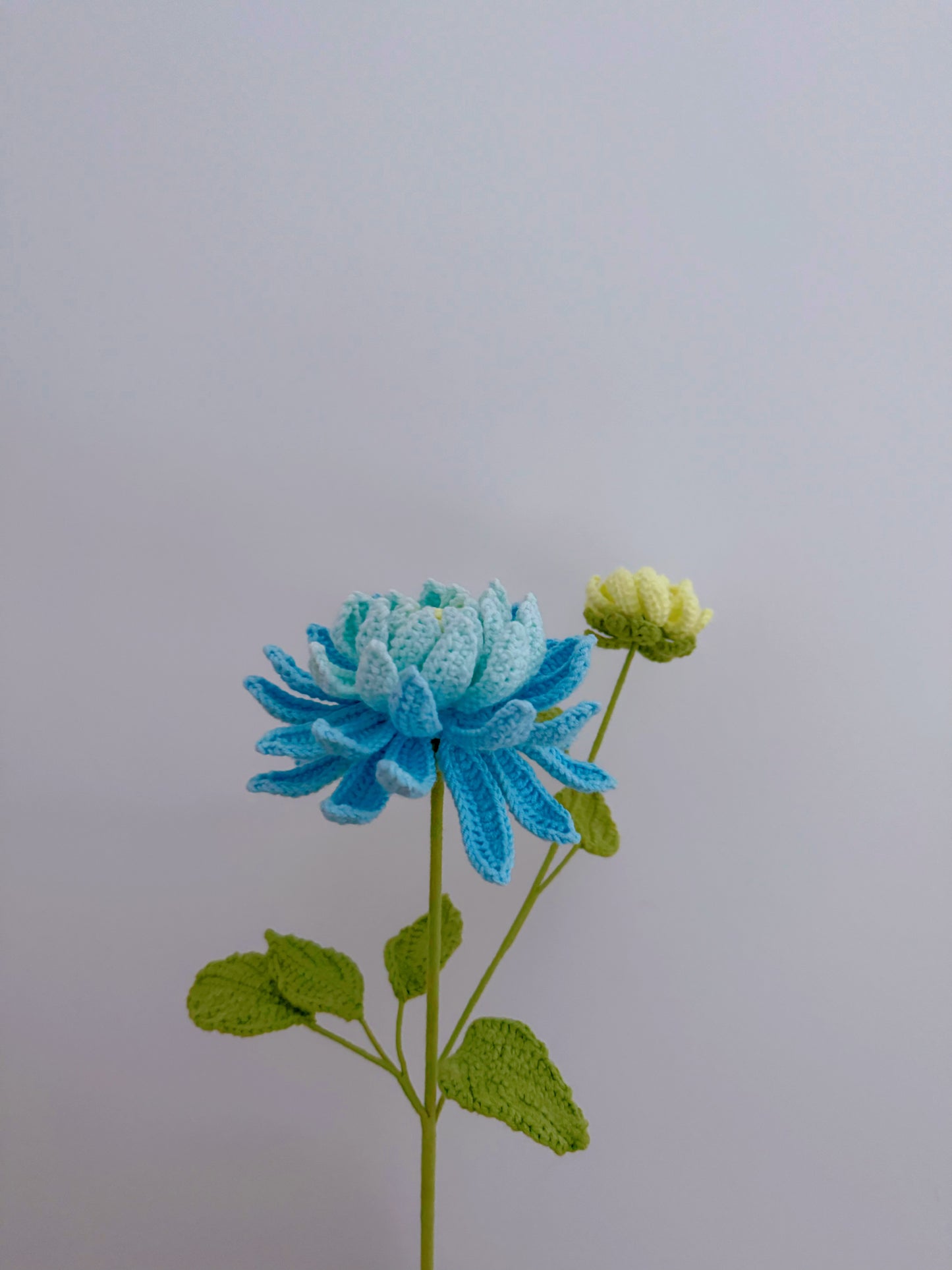 Dalian