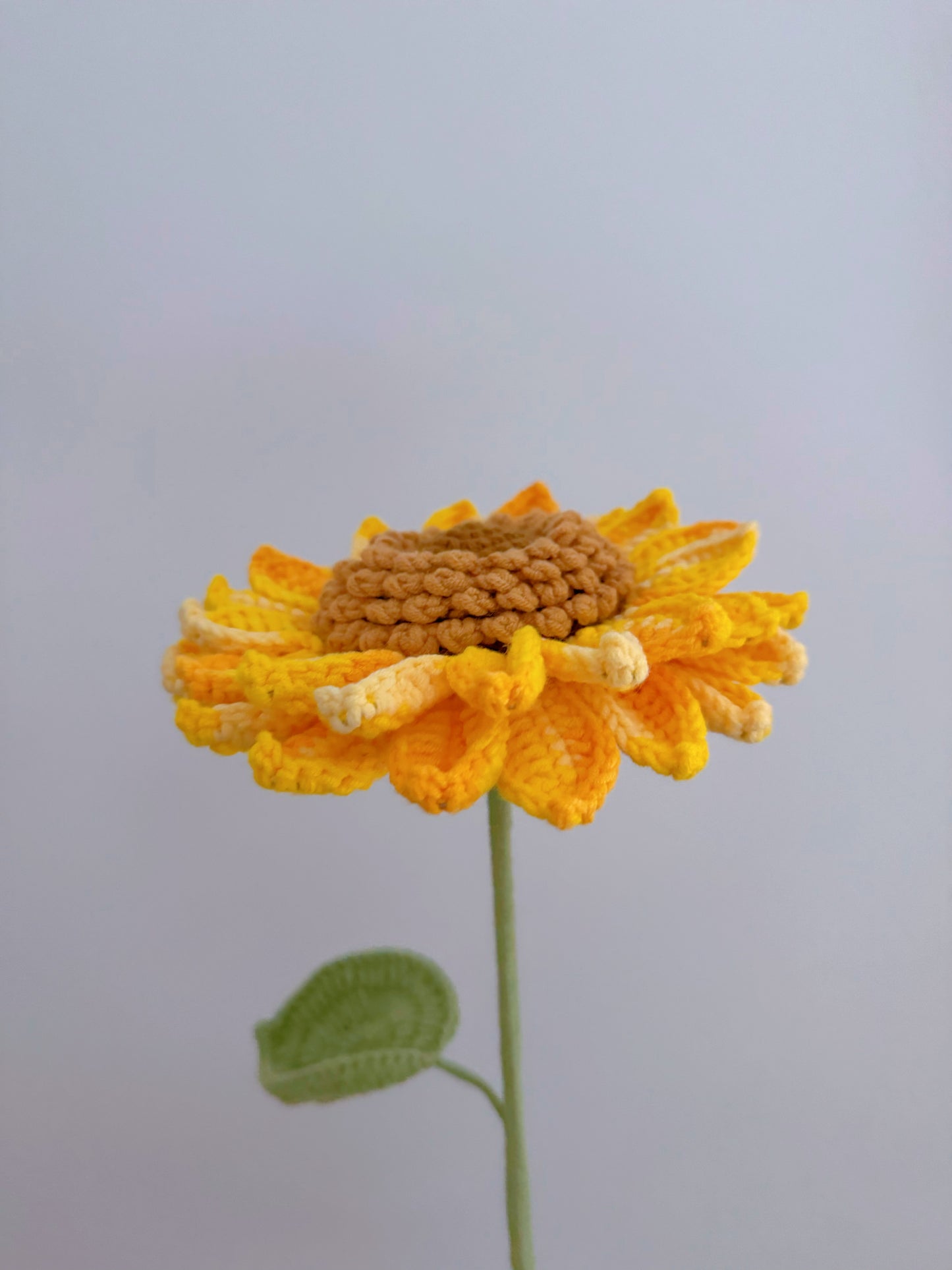 Sunflower (Large)
