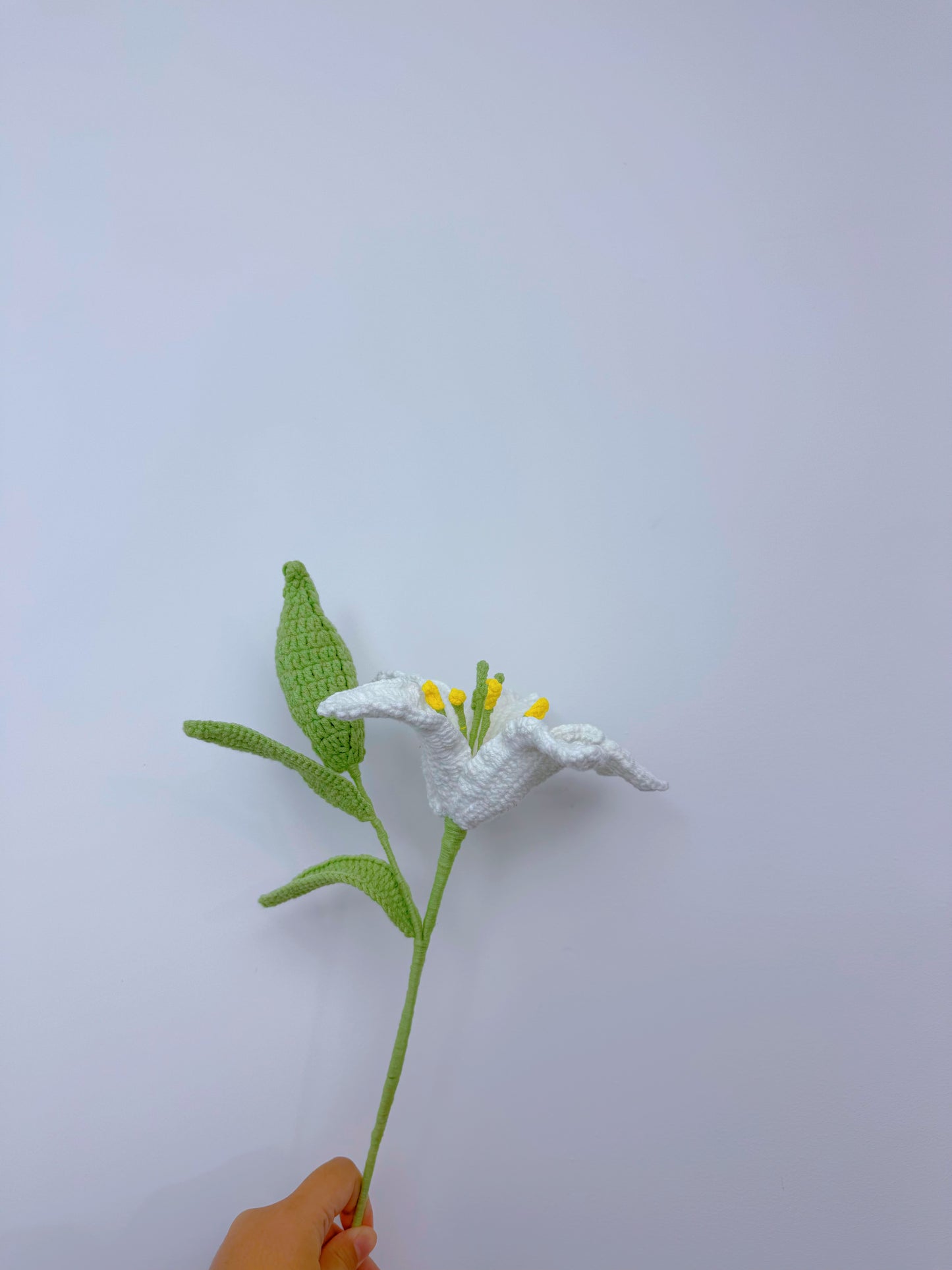 Lily (Large)