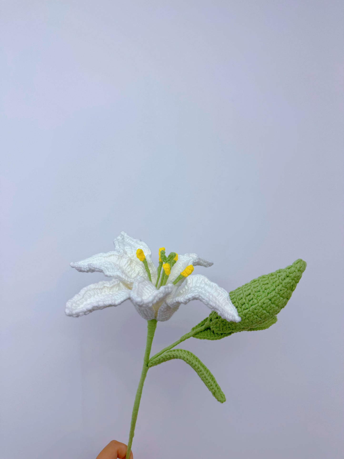 Lily (Large)