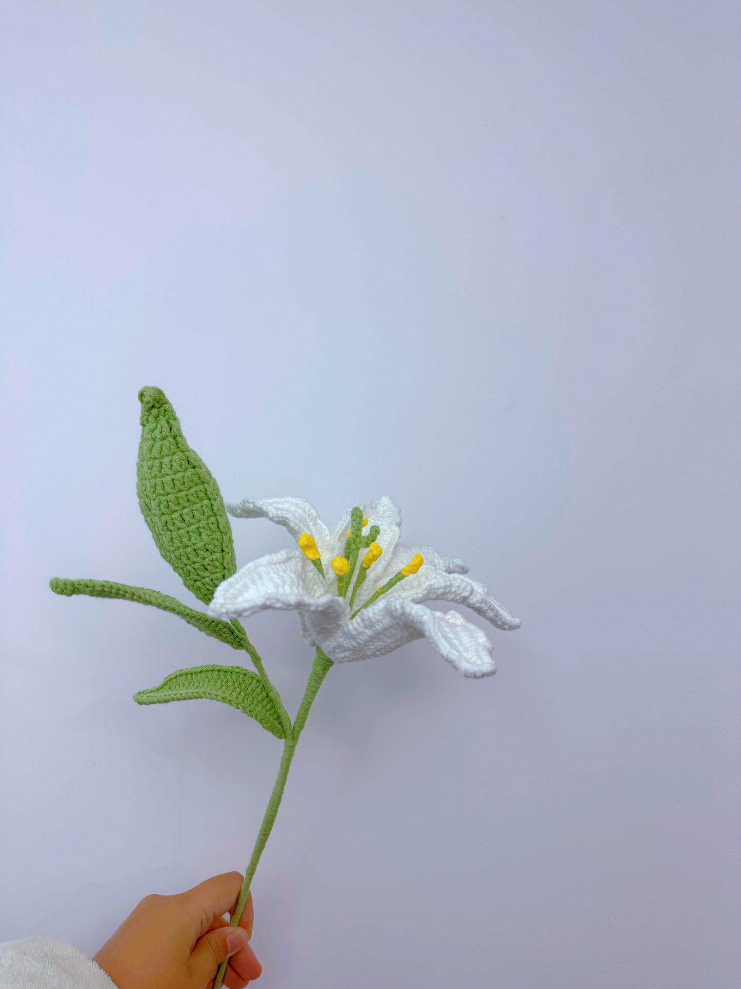 Lily (Large)