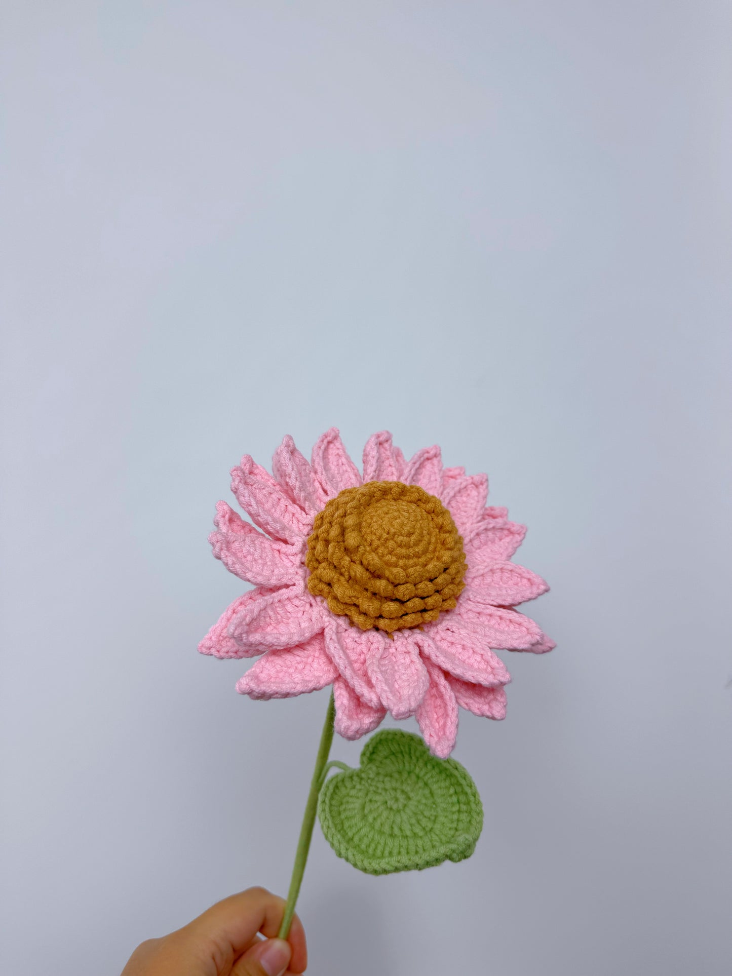 Colorful Sunflower