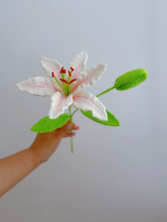 Lily