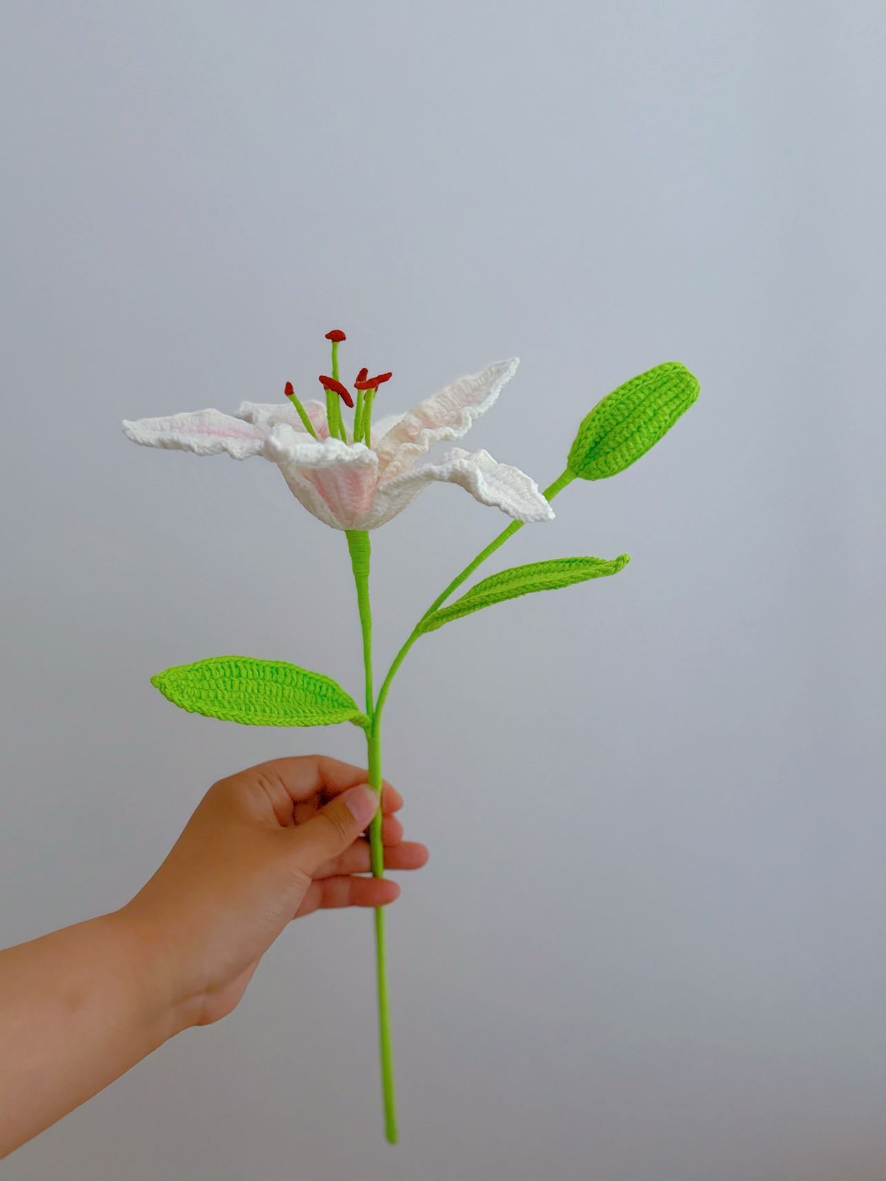Lily