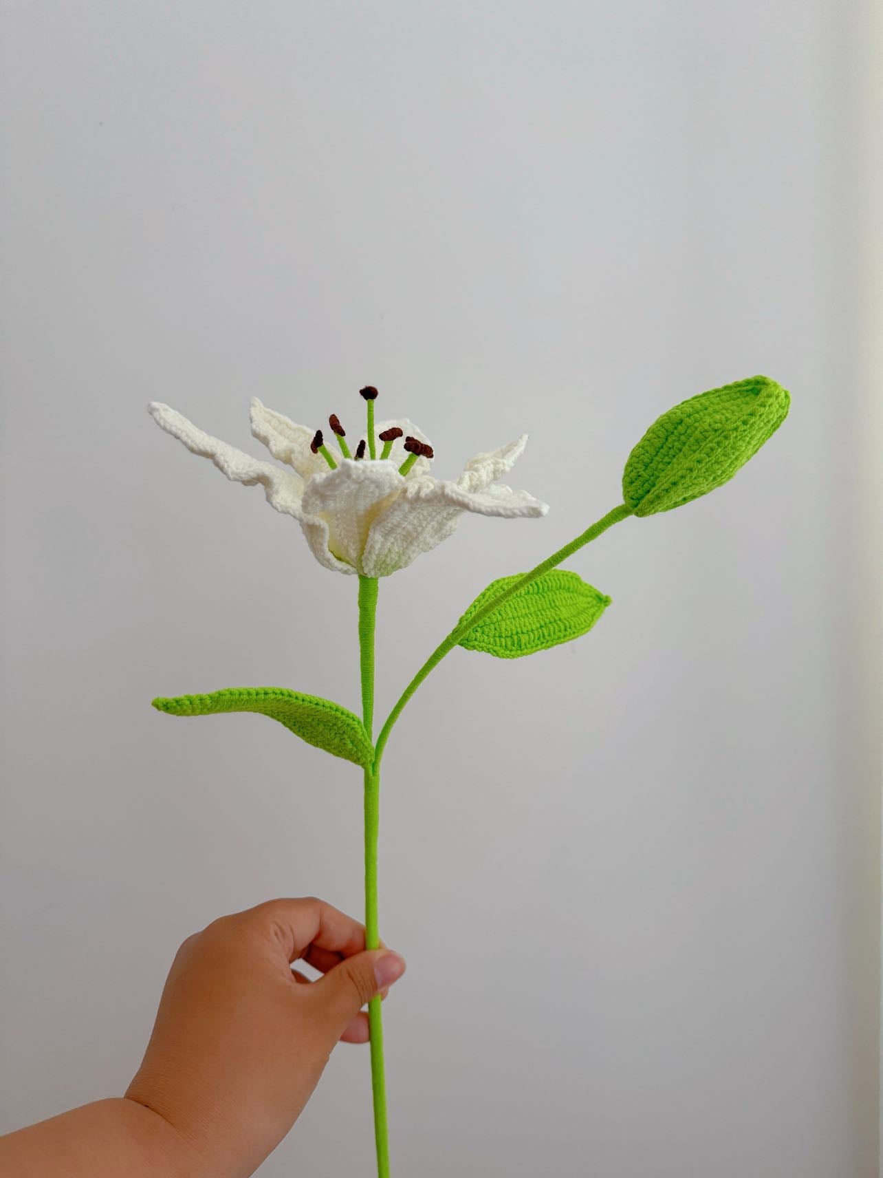Lily