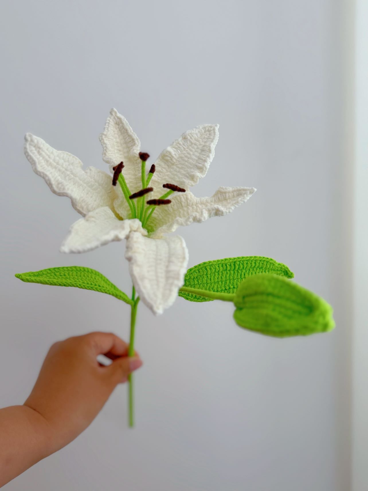 Lily